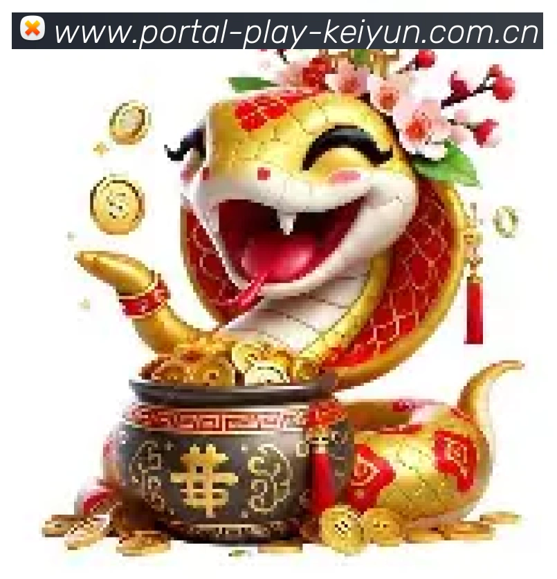 未来规划